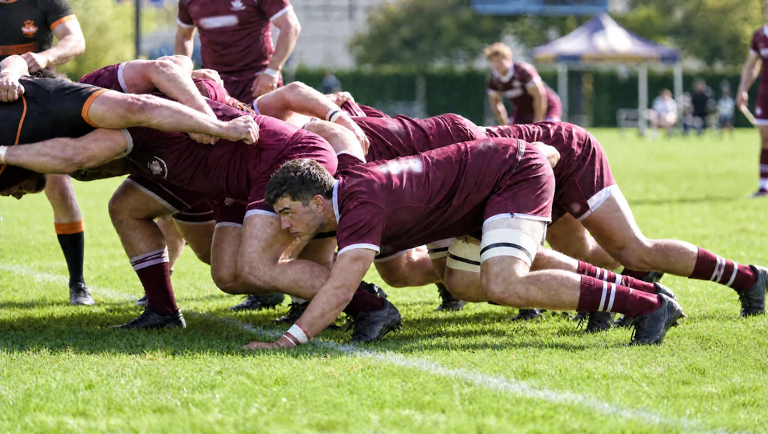 A pack in maroon driving low into a scrum on a sunny afternoon
