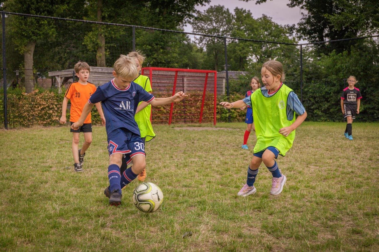 Recreatiepark De Boshoek