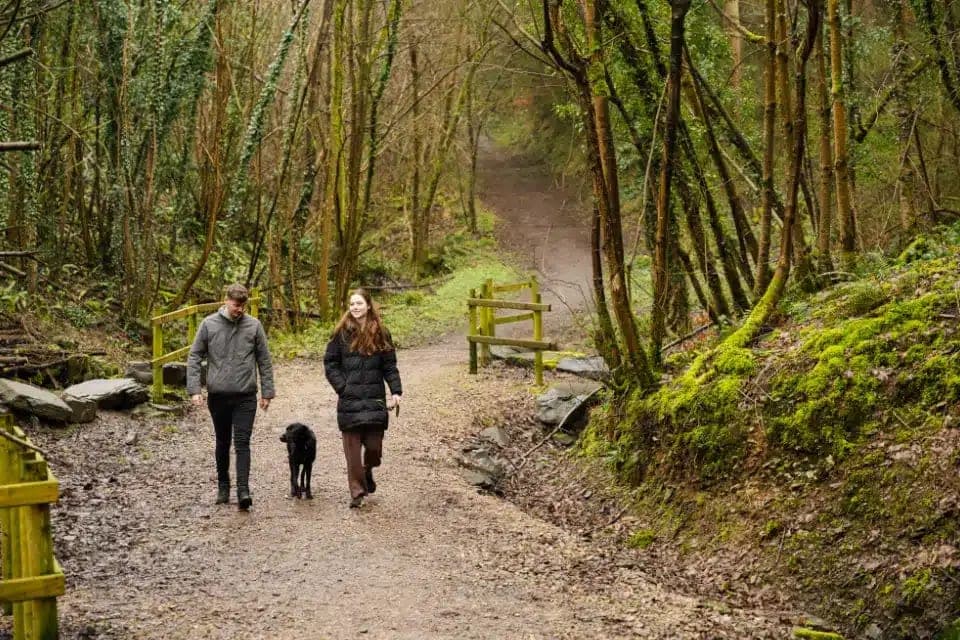 Lyons Woodlands Hall Holiday Park & Hotel