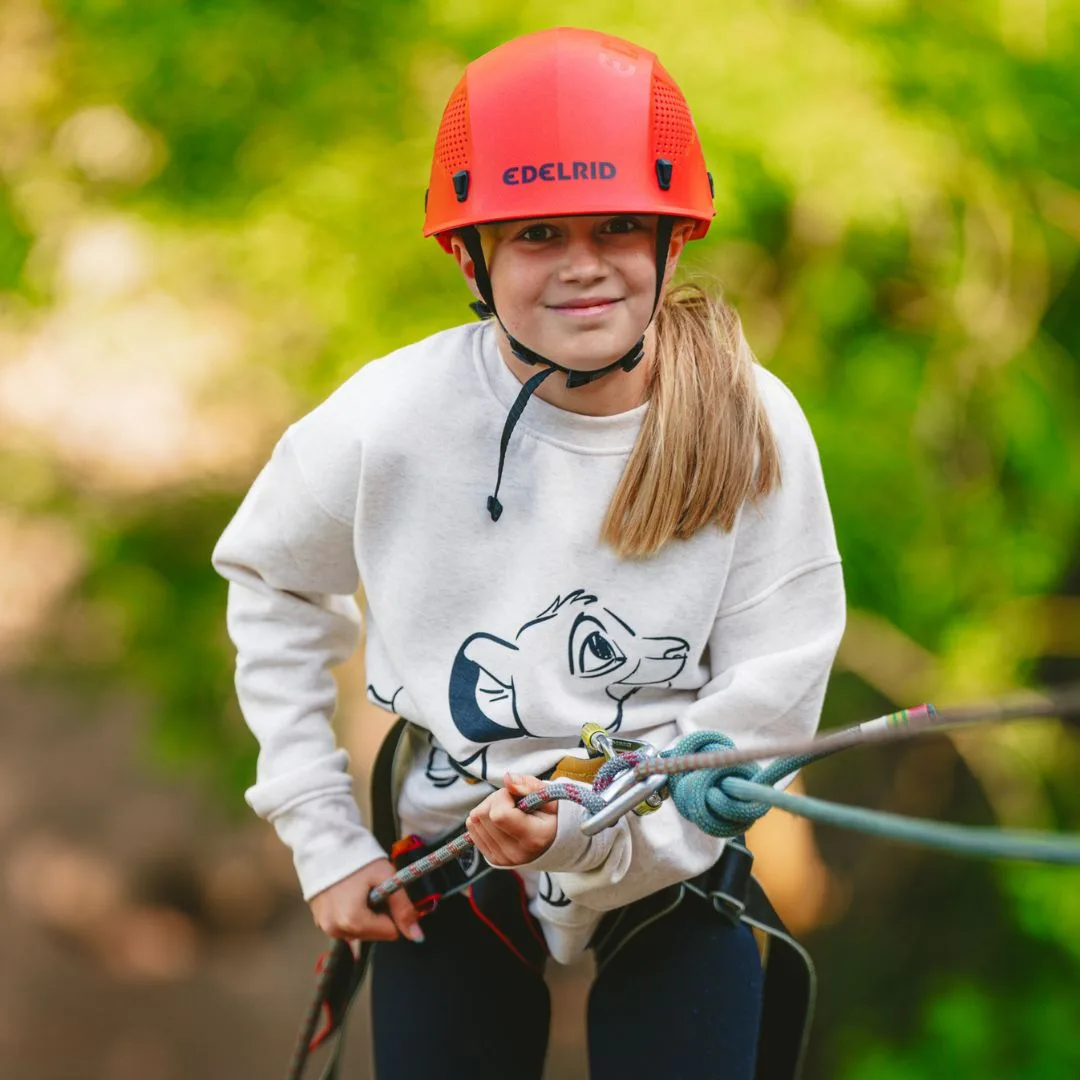 Rock climbing & abseiling at the park