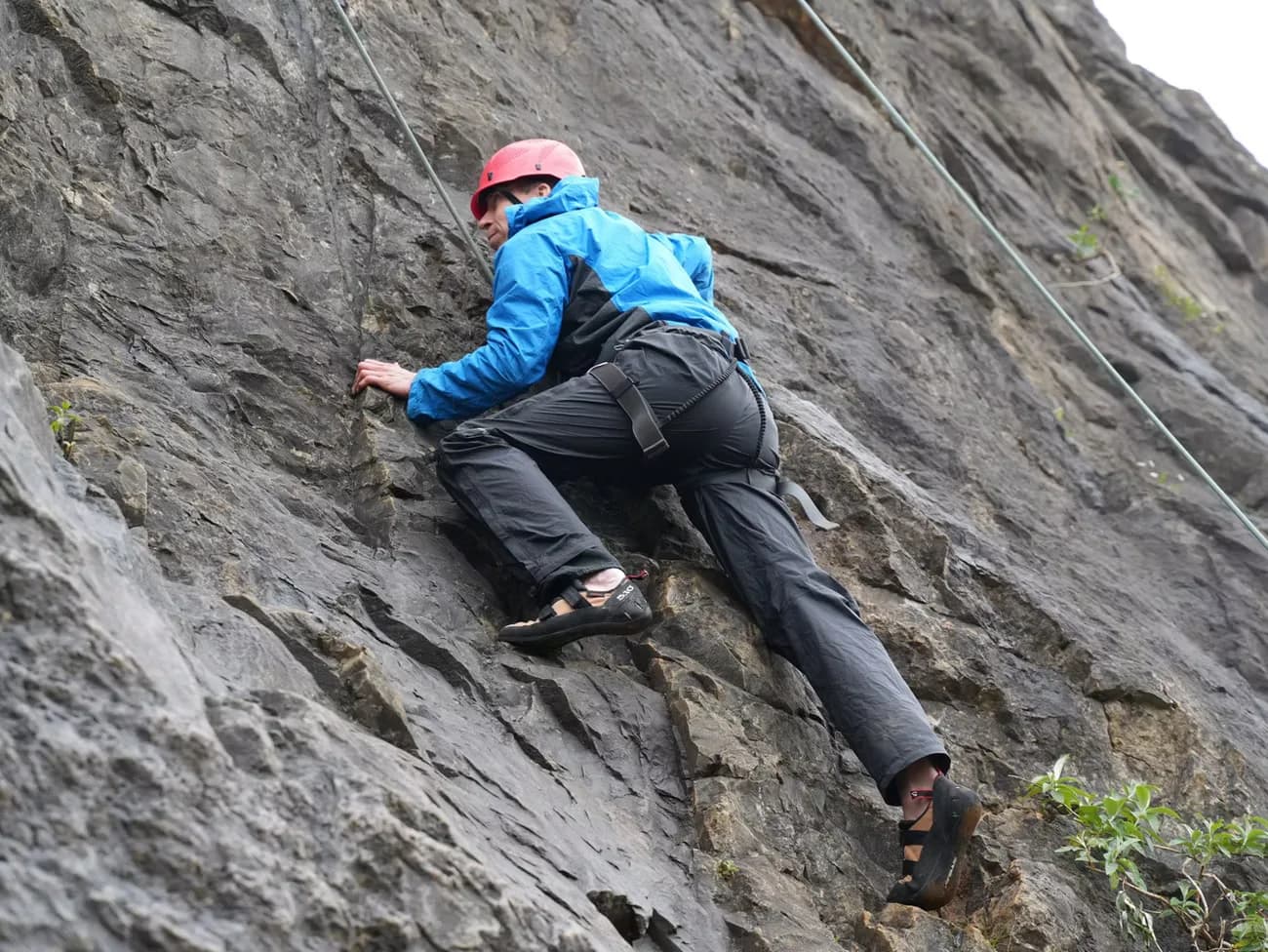 Rock climbing & abseiling at the park