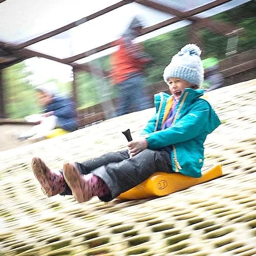 Tobogganing at the park