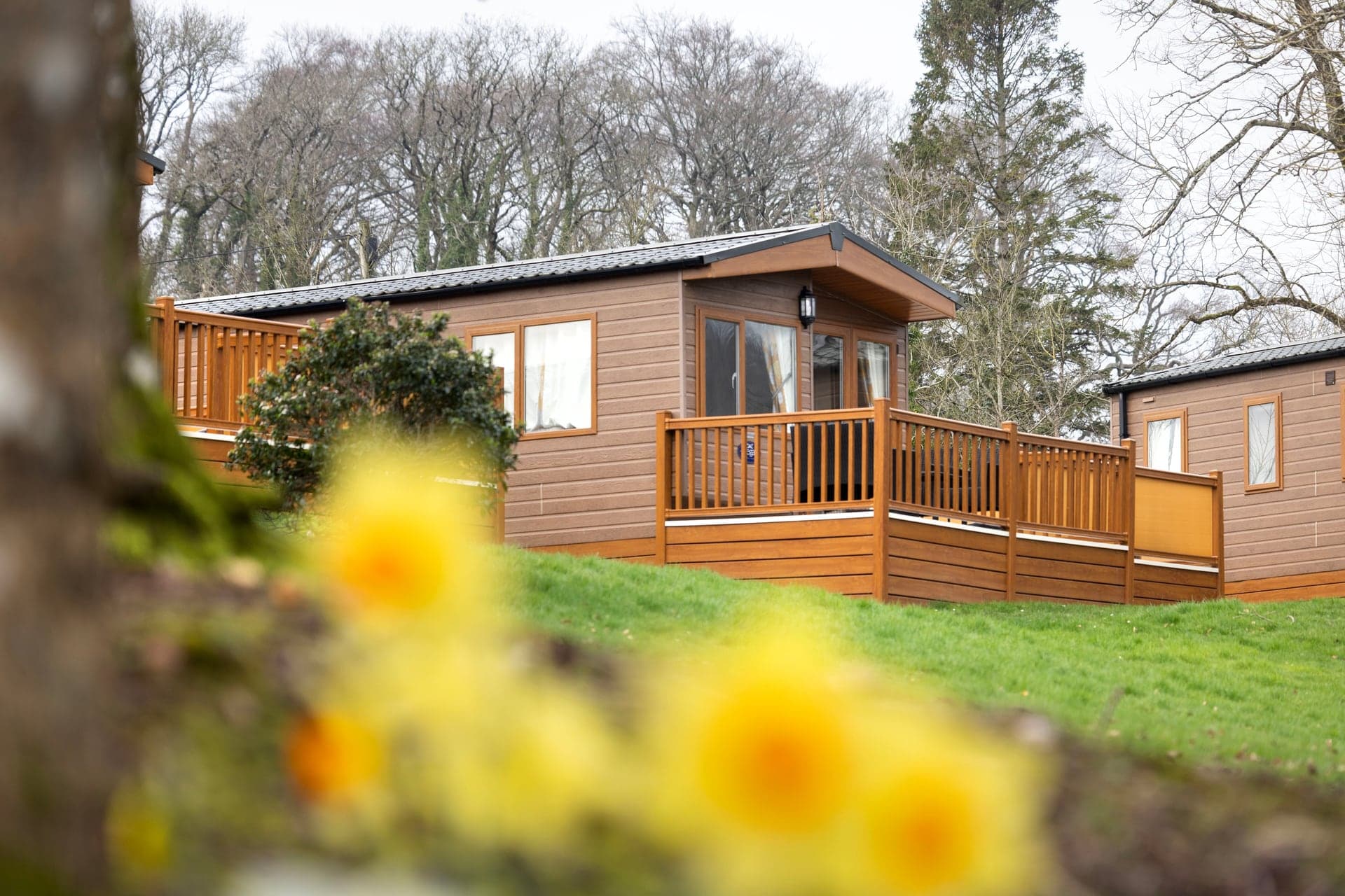 Mendip View Lodges