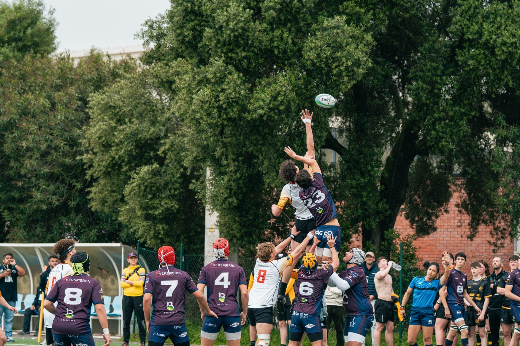 Lineout under the trees at the festival