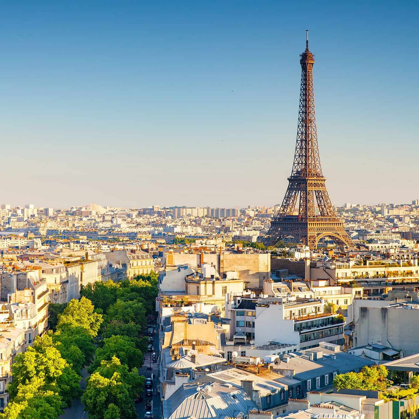 The Eiffel Tower rising above the Paris rooftops in warm evening sun, a tree-lined avenue below